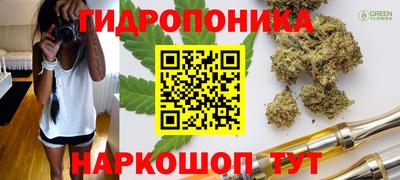 бошки Новодвинск