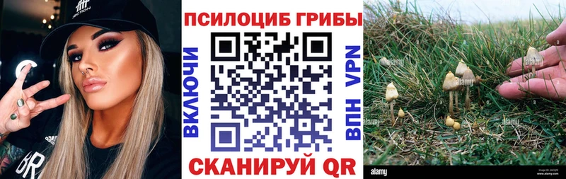 Псилоцибиновые грибы Psilocybe  цена наркотик  Кондопога 