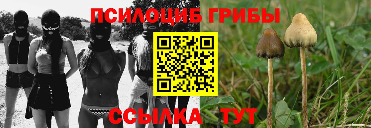 Псилоцибиновые грибы MAGIC MUSHROOMS  Галлюциногенные грибы Psilocybe  Кондопога  Вход с VPN 